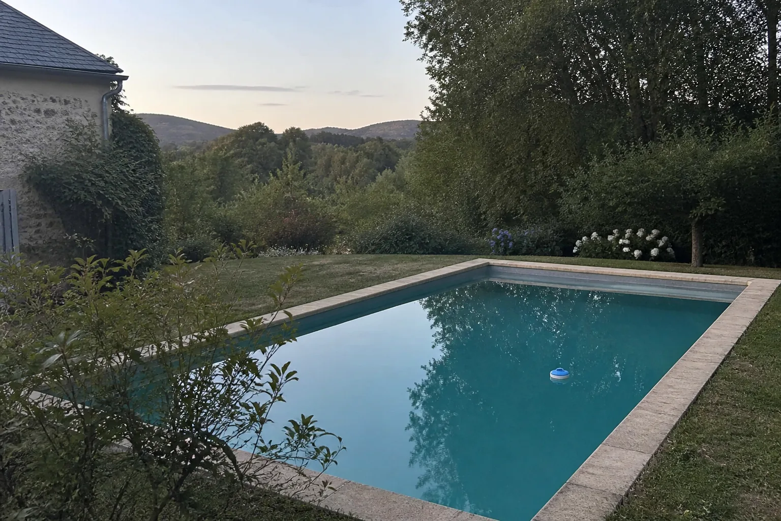 Bassin de jardin en septembre, eau calme, avant l’hivernage